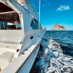 CARBRASMAR 41 NORONHA 5