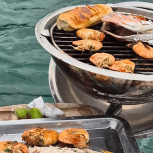 lancha-focker255-ilhabela