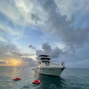 PHOTO-2024-01-24-10-00-52