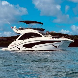 lancha albatroz nx noronha 2