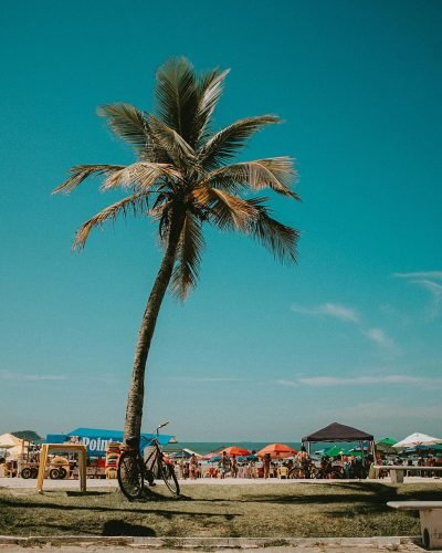 pexels-egorghetto-14851450