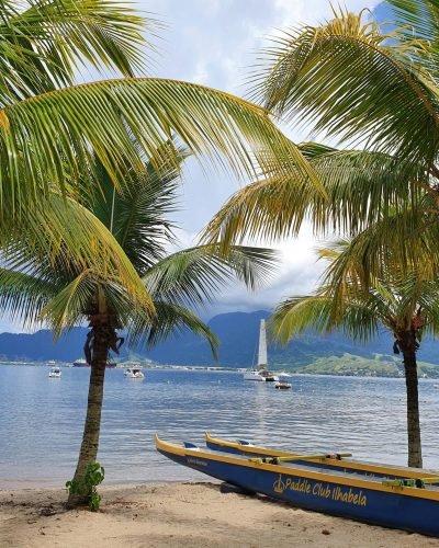 pexels-solange-oliveira-1917075637-28736240